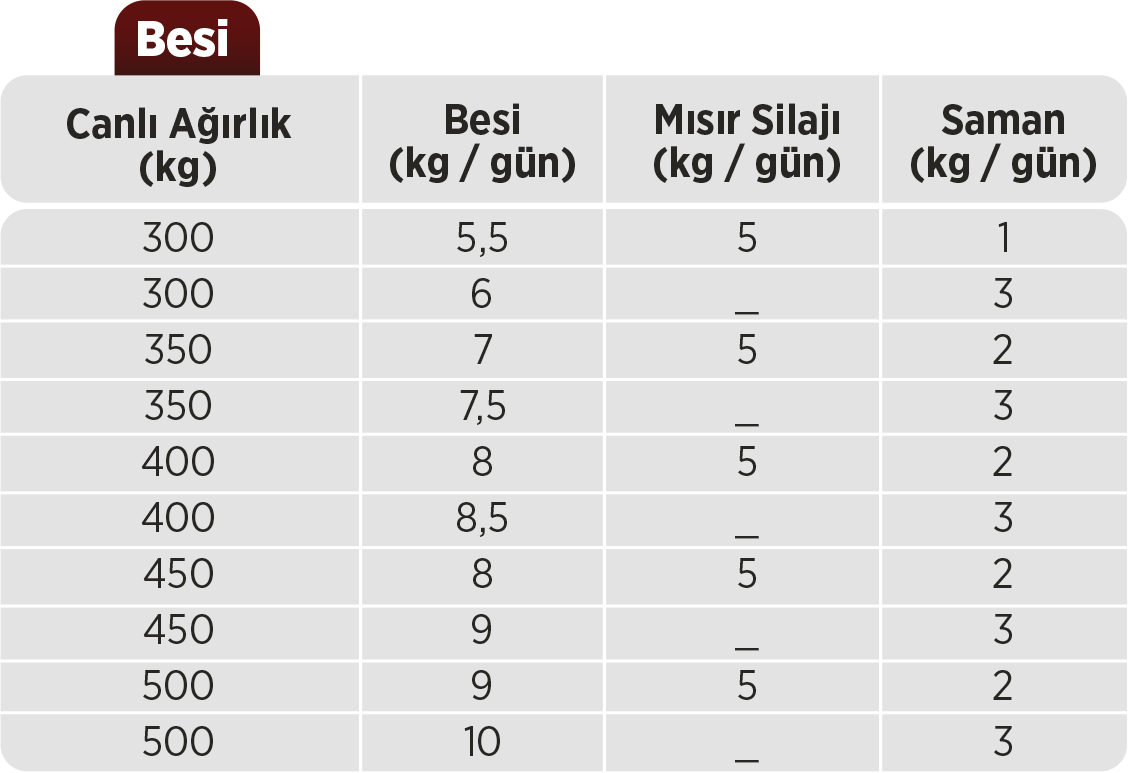 besi yemi proyem matli holding