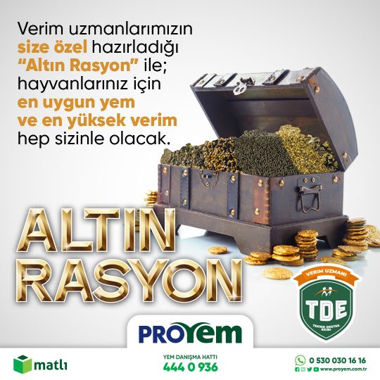 altin-rasyon-web-sayfa-alti